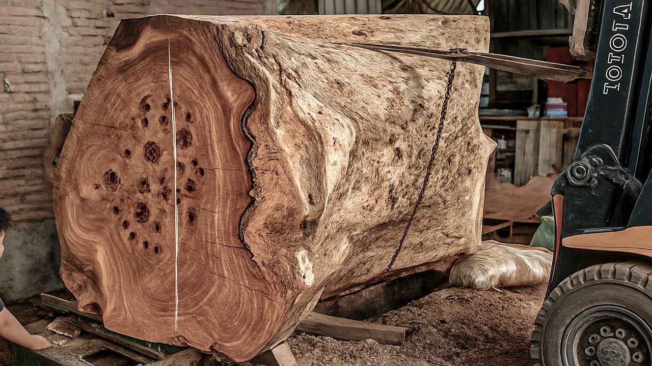 Cutting $70 Million Wood ‼️ Battle Against Poisonous Animals in the Forbidden Forest
