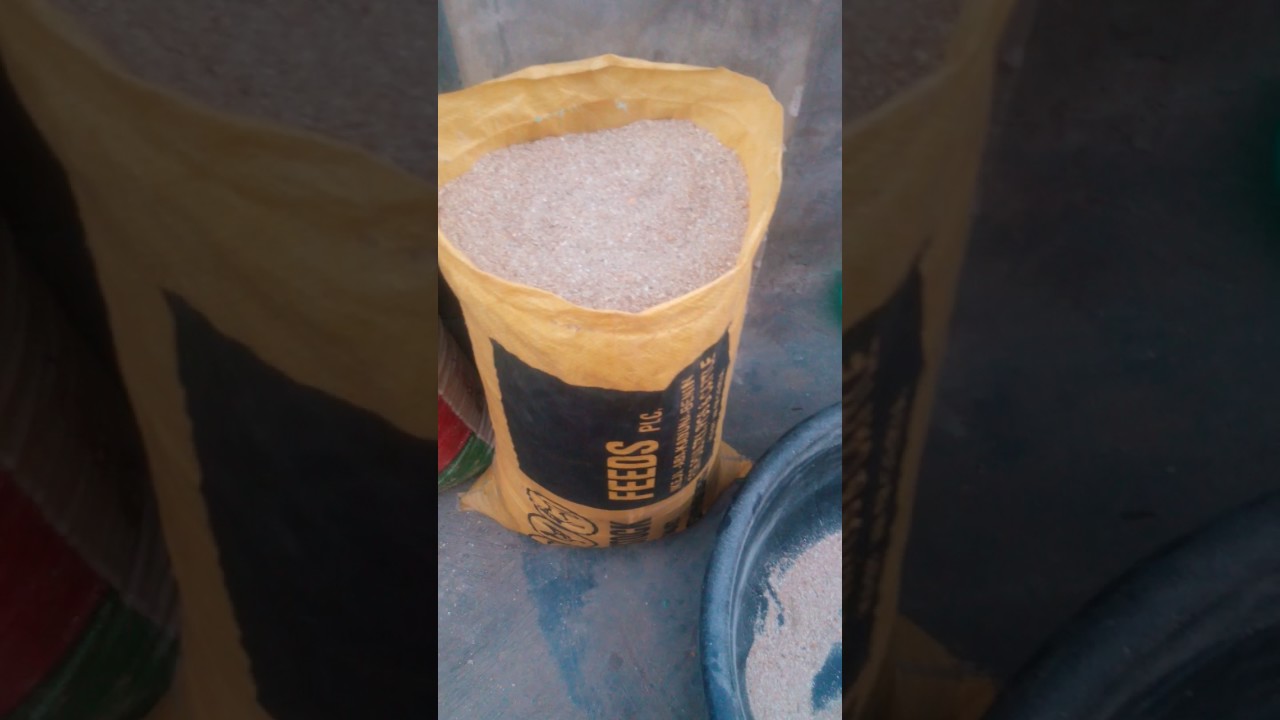 How to make feeds with concentrate right in your home - Part2