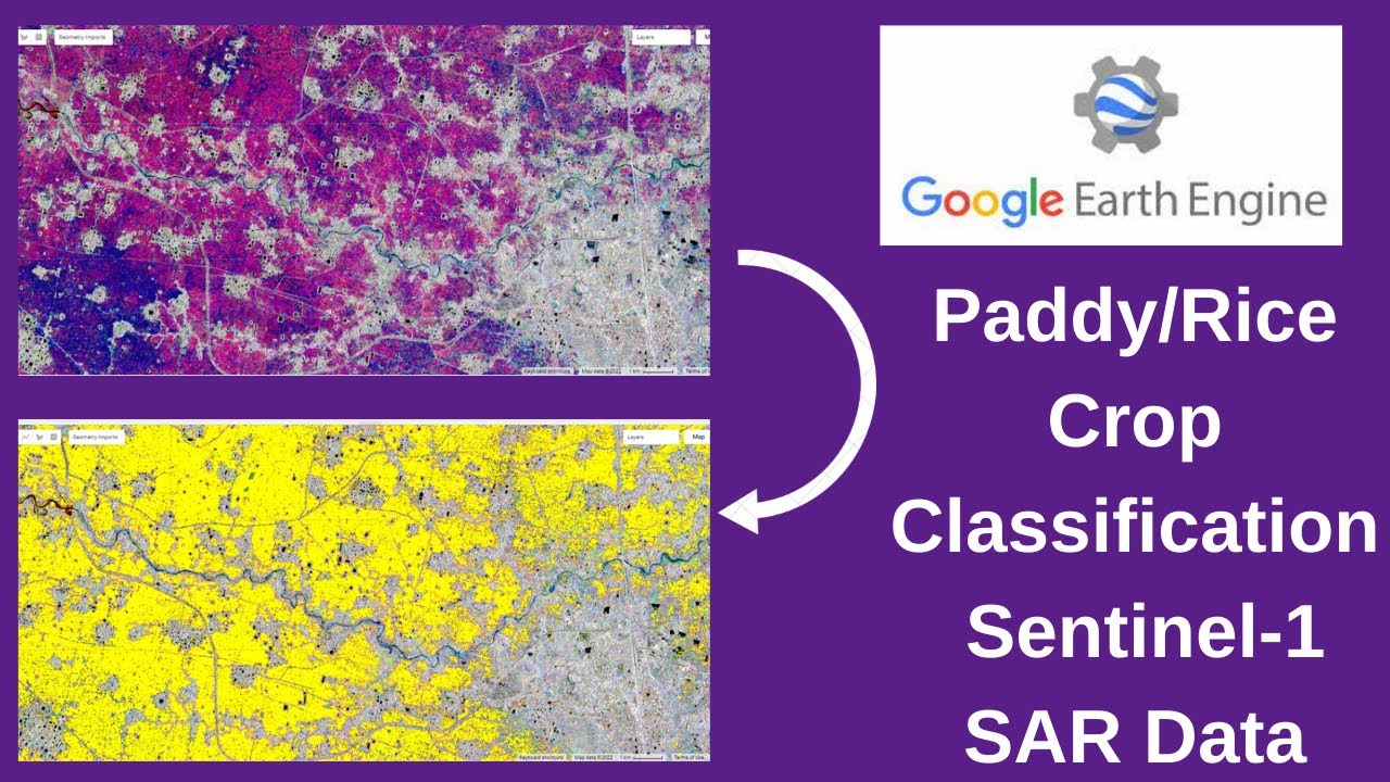 Google Earth Engine - Rice/Paddy Crop Classification using Sentinel-1 SAR data