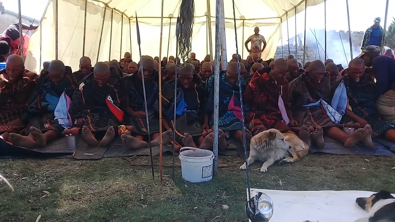 Amakrwala 2018