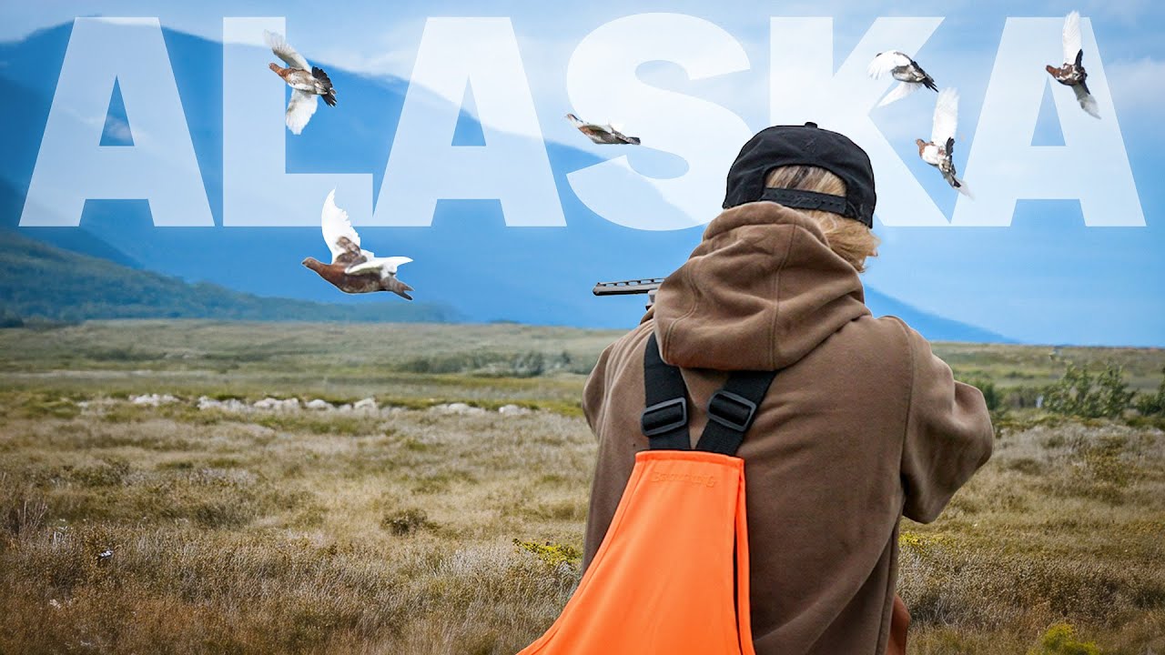 Охота на куропатку в отдалённой Аляске