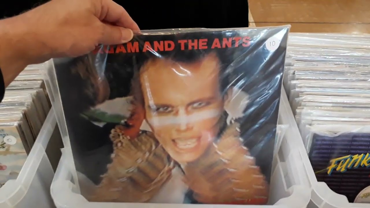 Visiting the record fair at Newbury UK on 2 November 2024 #vinylcommunity