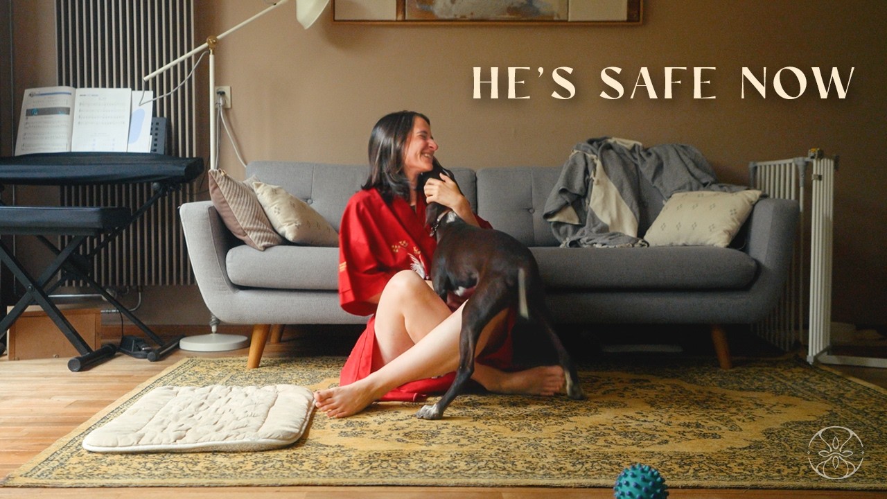 He Is Safe Now | The Story Of Our Spanish Rescue Puppy