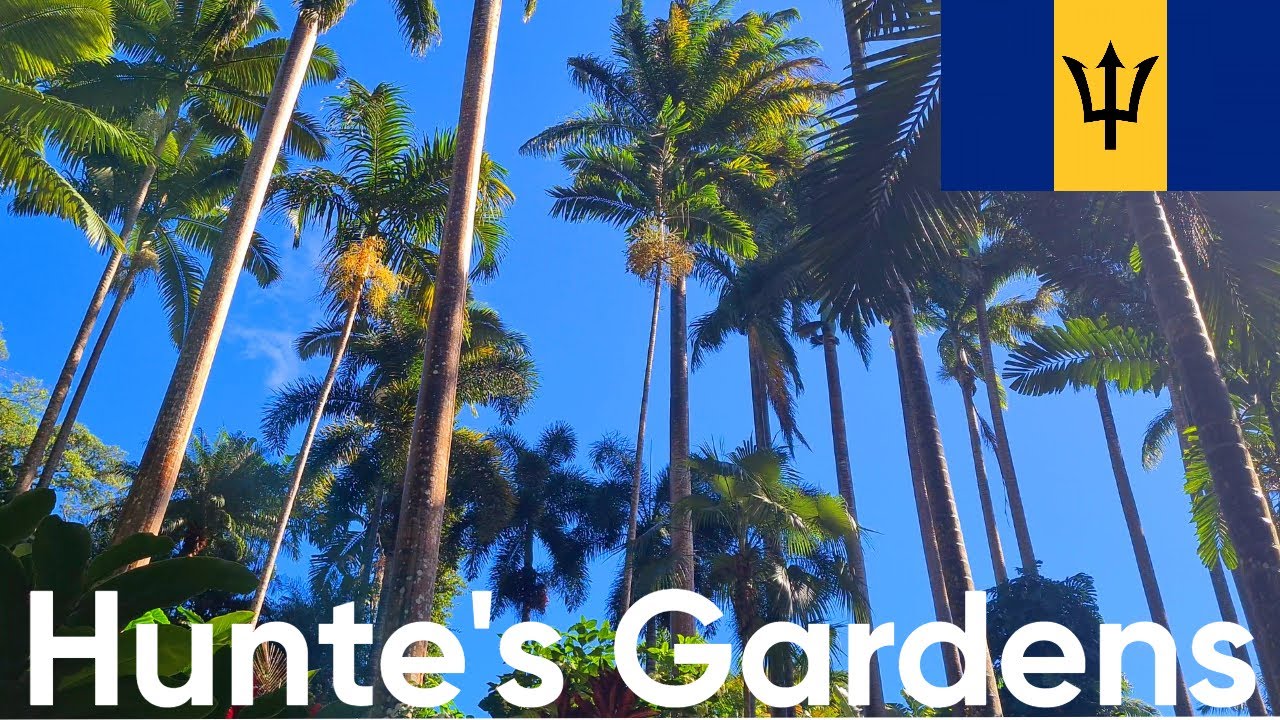 Hunte's Gardens | Saint Joseph | Barbados | Caribbean | North America | 24/01/2024 | Garden Walk
