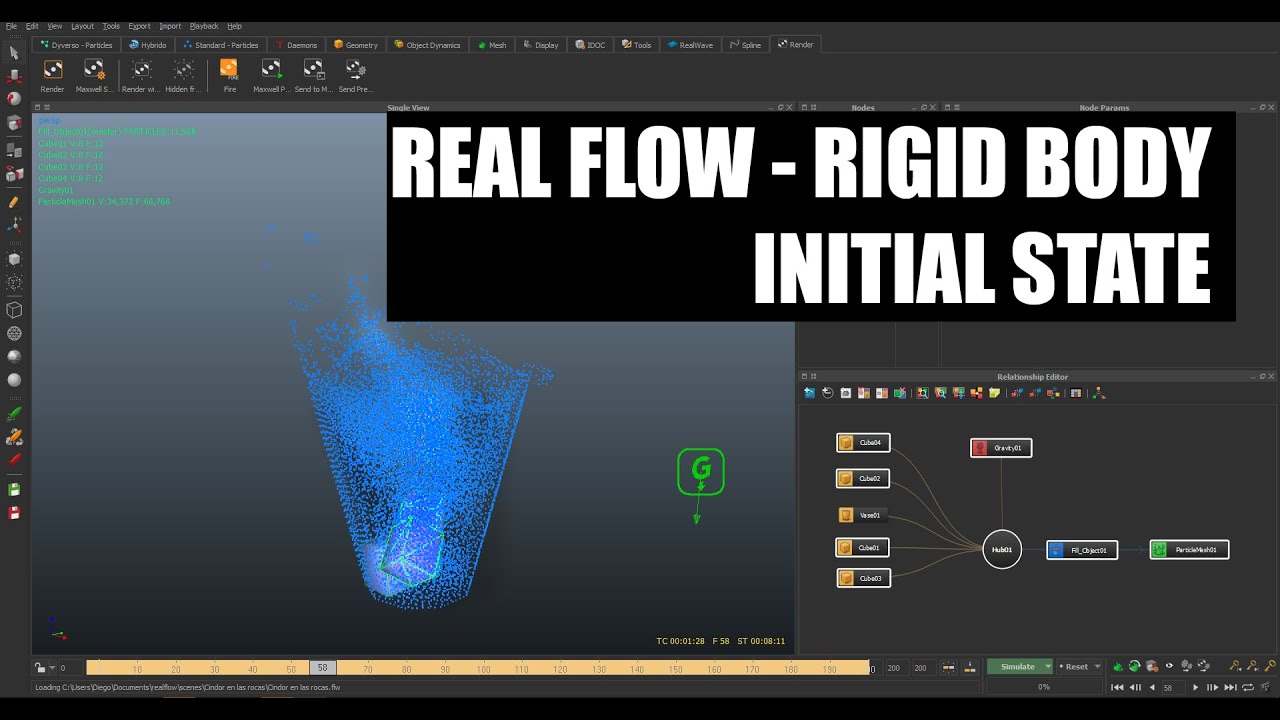 Real Flow - Rogid Body e Initial state