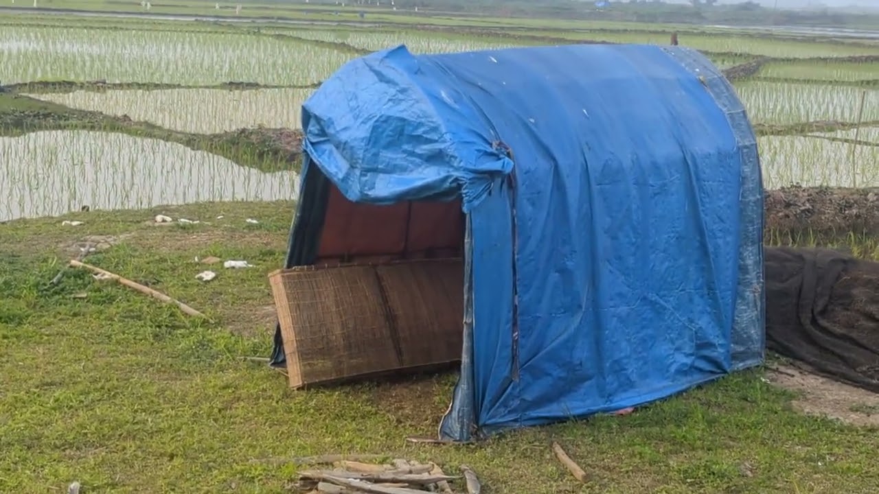 গাজীপুরের ঐতিহ্যবাহী পুবাইল বাঁধুন এলাকায় একটু ঘোরাঘুরি