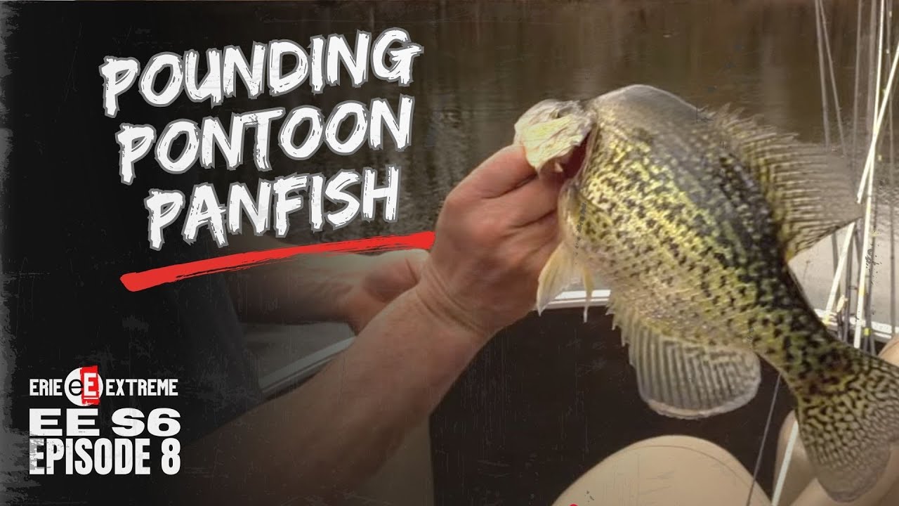 Erie Extreme #72 | They Gave Us A Pontoon Boat, Now Can We Just Get To Where The Fish Are?