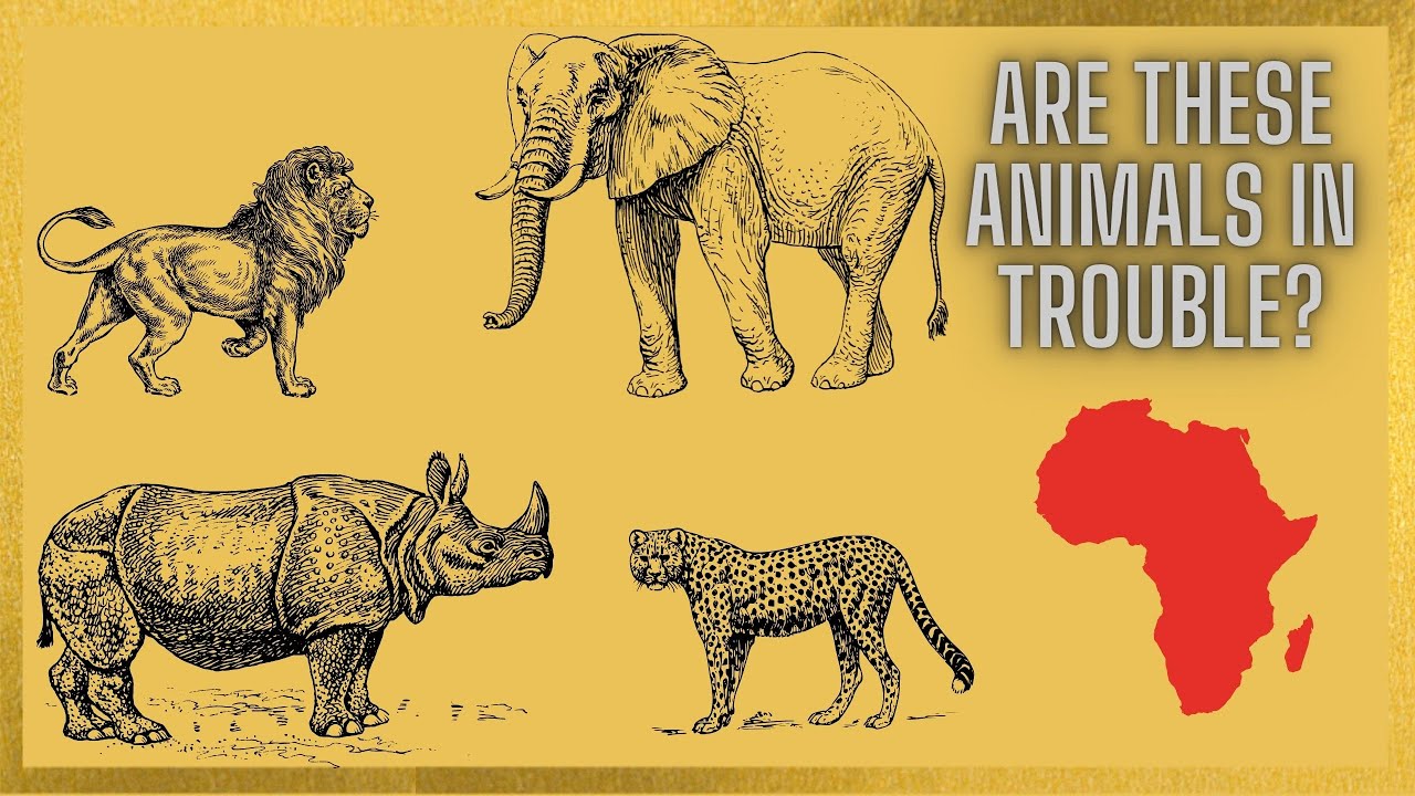 The Top 10 Vulnerable And Endangered Animals In Africa!