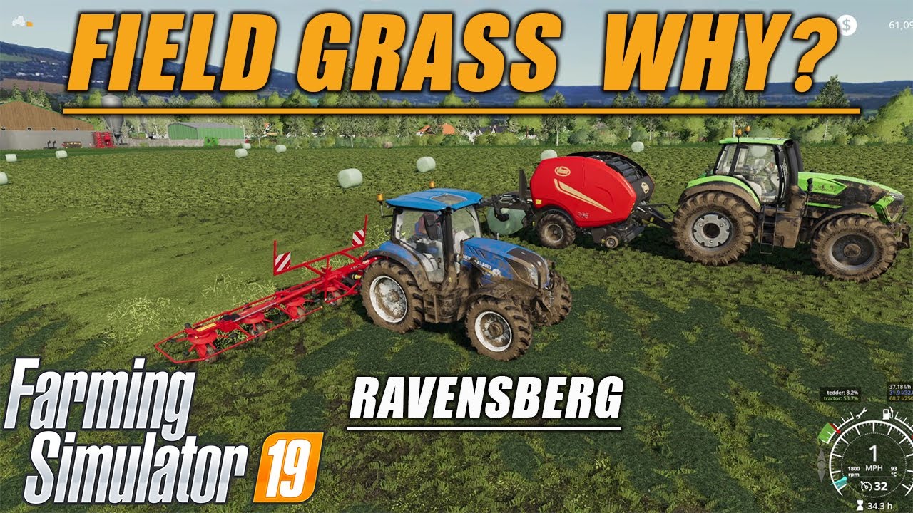 FIELD GRASS ( WHATS IT GOOD FOR )FARMING SIMULATOR 19, RAVENSBERG, LETS PLAY, FSI9, EPISODE #17