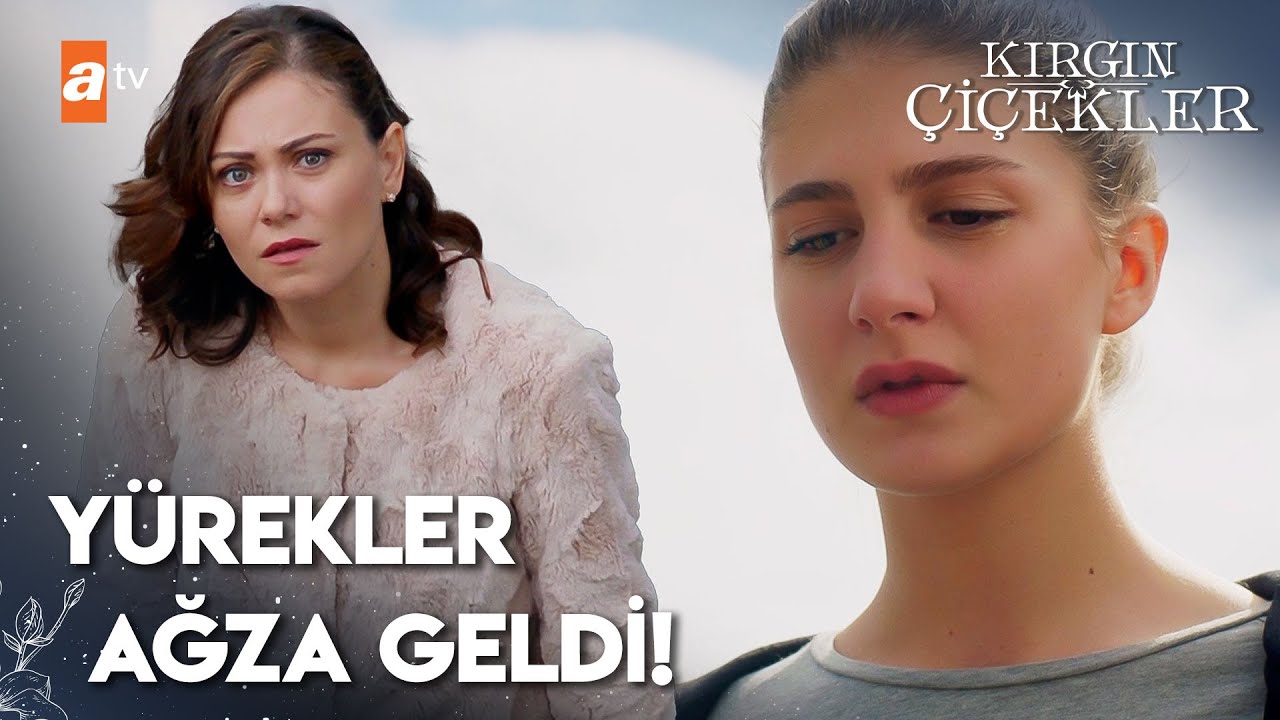 Kader yurdun çatısında! | Kırgın Çiçekler