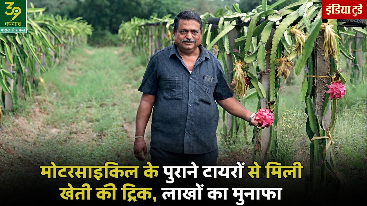 जमा-जमाया Business छोड़ Rajasthan में की Dragon Fruit Farming! Ashok Gehlot | Success Story