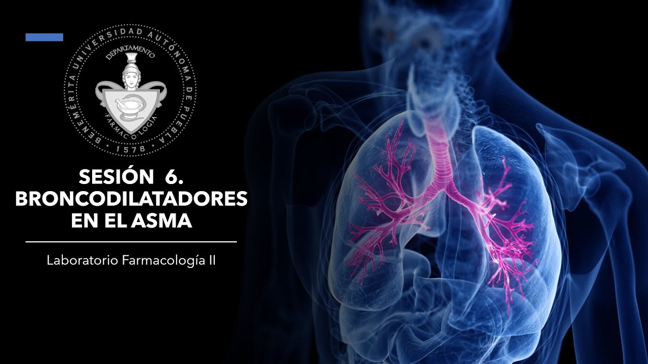 Sesión 6; BRONCODILATADORES en el ASMA | Farmacología II