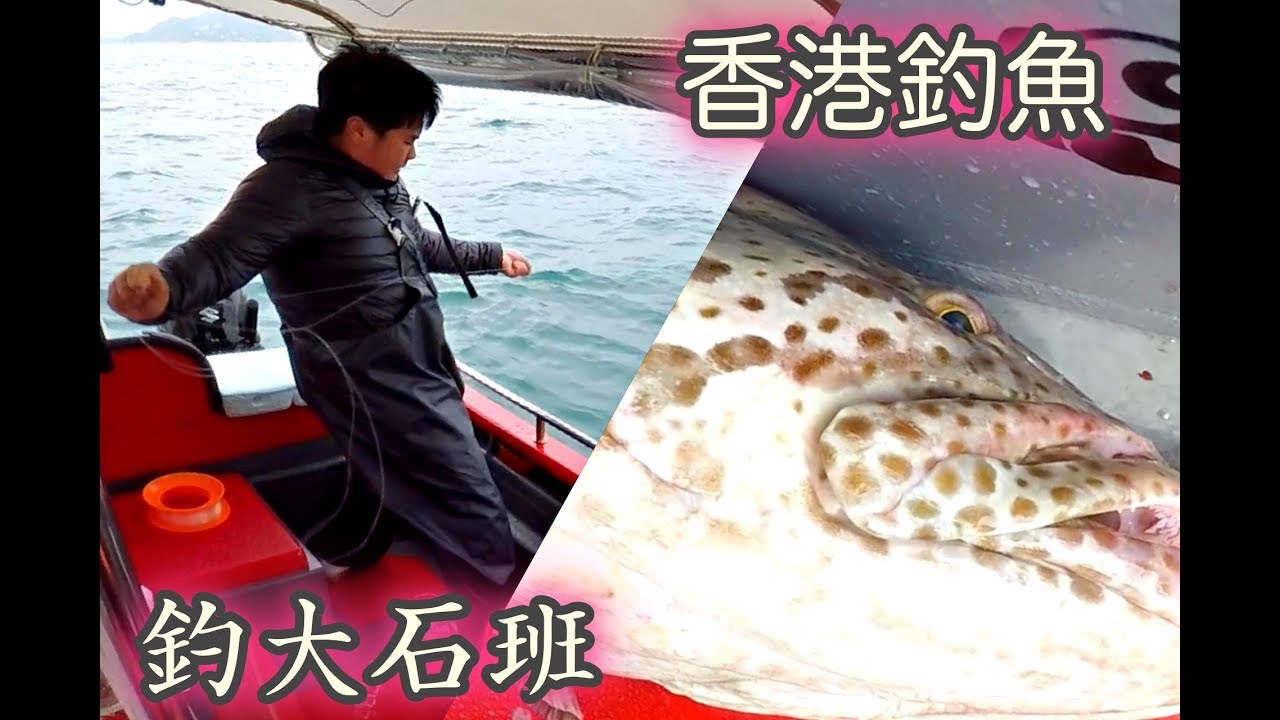 香港釣魚 近至南丫 遠至南油 釣大石班