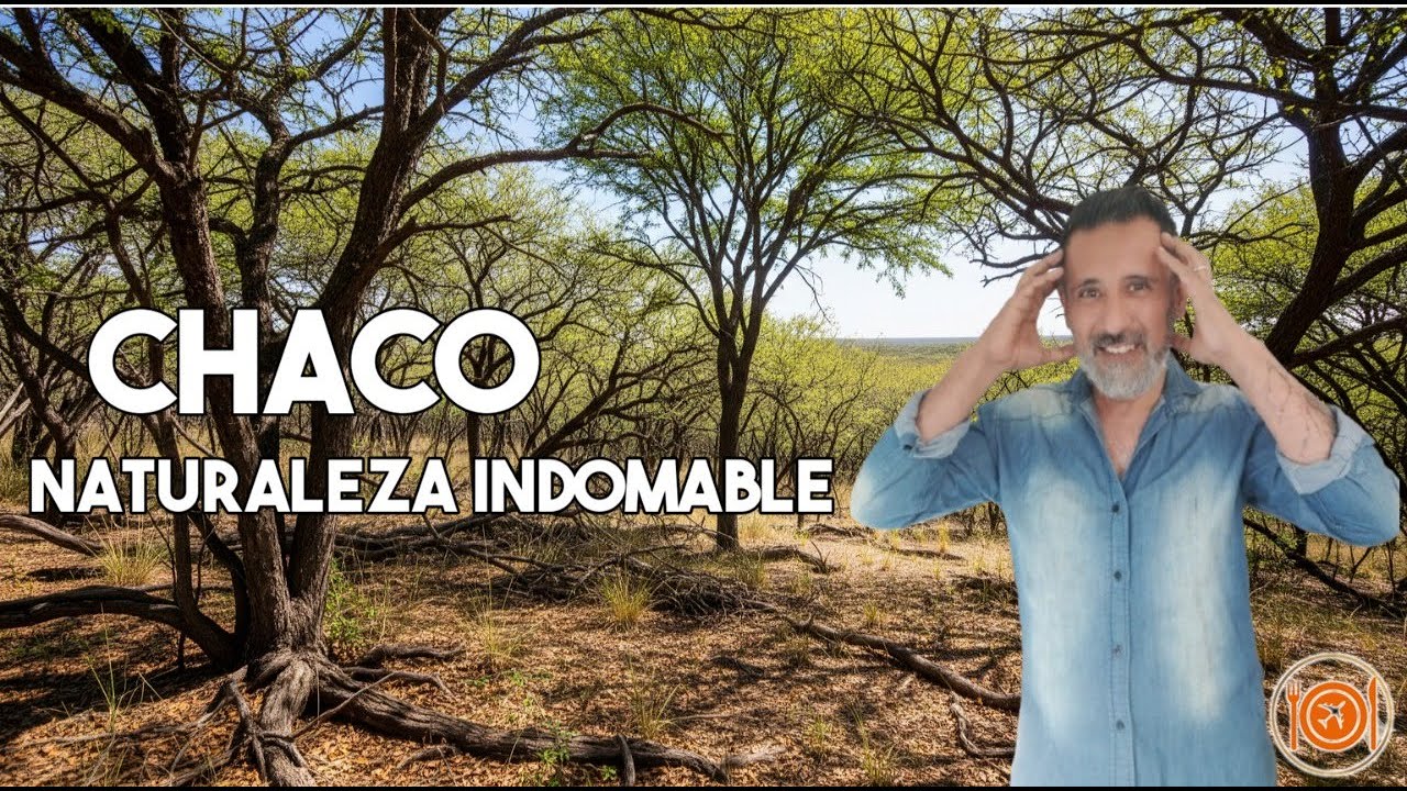 Откройте для себя природное и культурное очарование провинции Чако, Аргентина