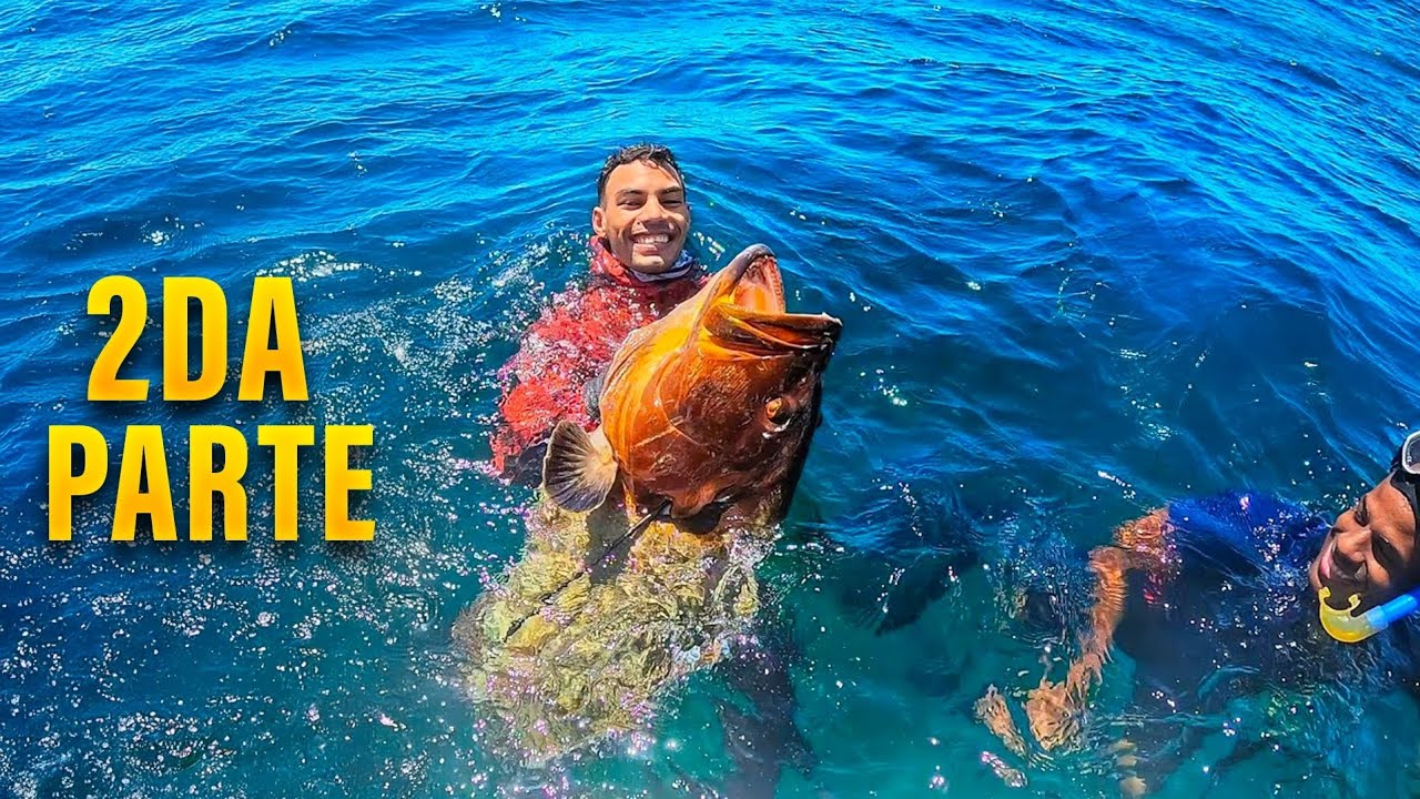 Sorprendente captura Mero Gigante (Black Grouper)Amazing capture of giant black grouper