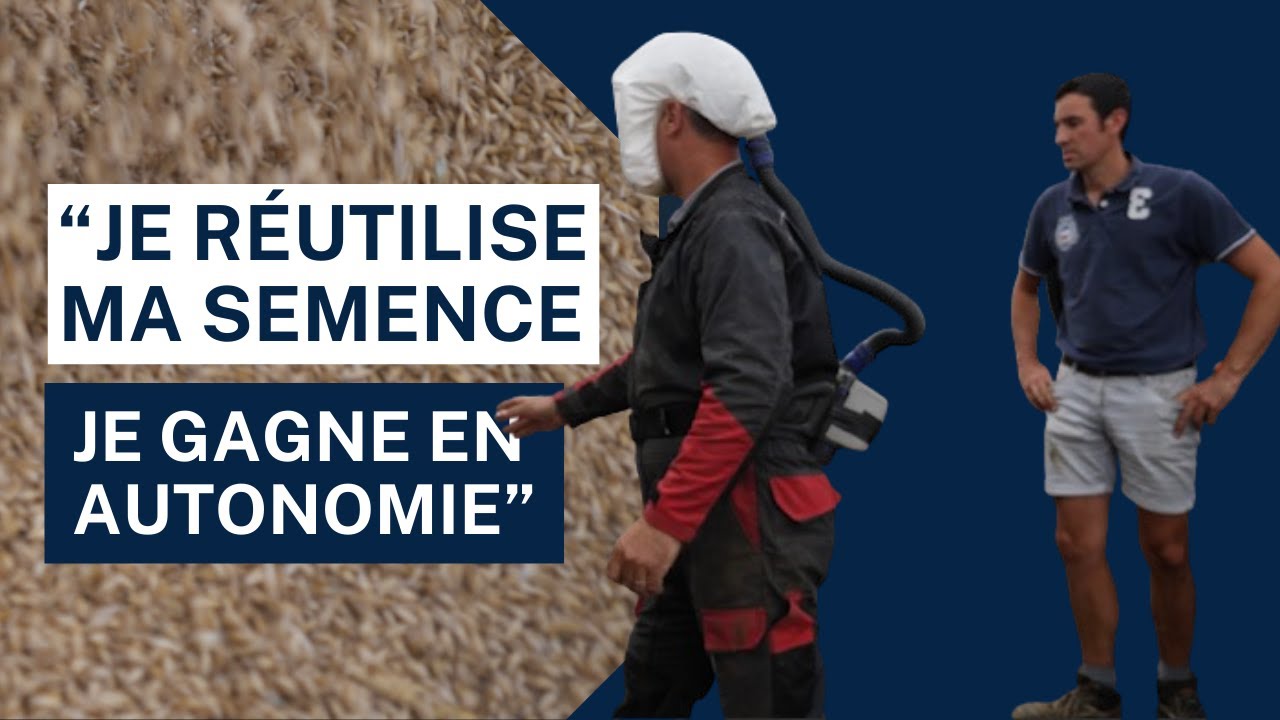 Comment trier et protéger ses semences