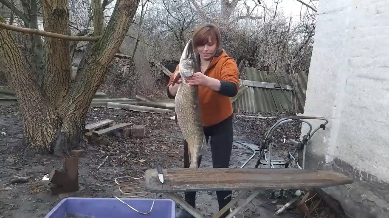 Історія дівчини з села про трофейну щуку архів