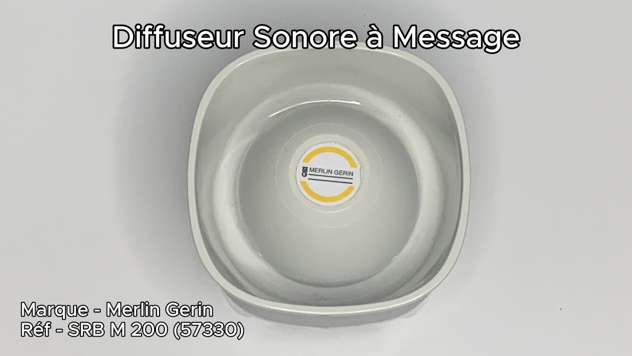 Diffuseur Sonore à Message Merlin Gerin SRB M 200