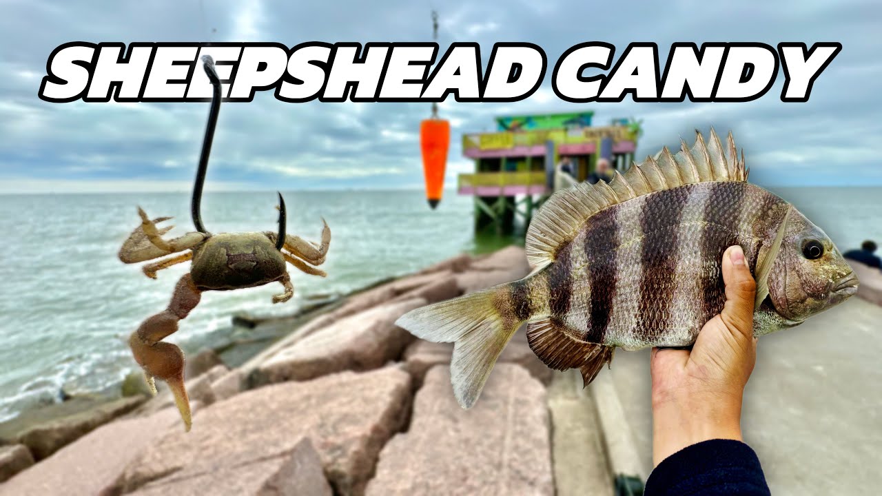 Fishing FAMOUS Galveston Seawall Jetty for Dinner! 61st Pier