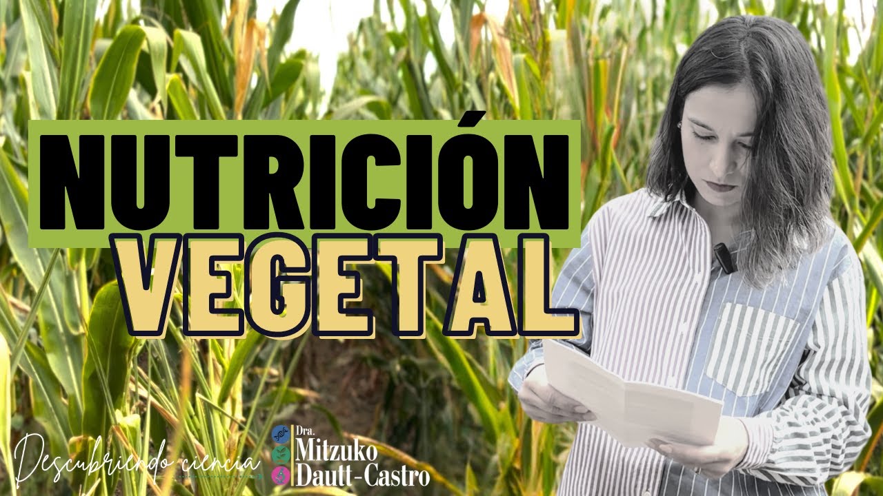 Hablemos de NUTRICIÓN VEGETAL: ¿Cuáles son los nutrientes esenciales que necesitan las plantas?