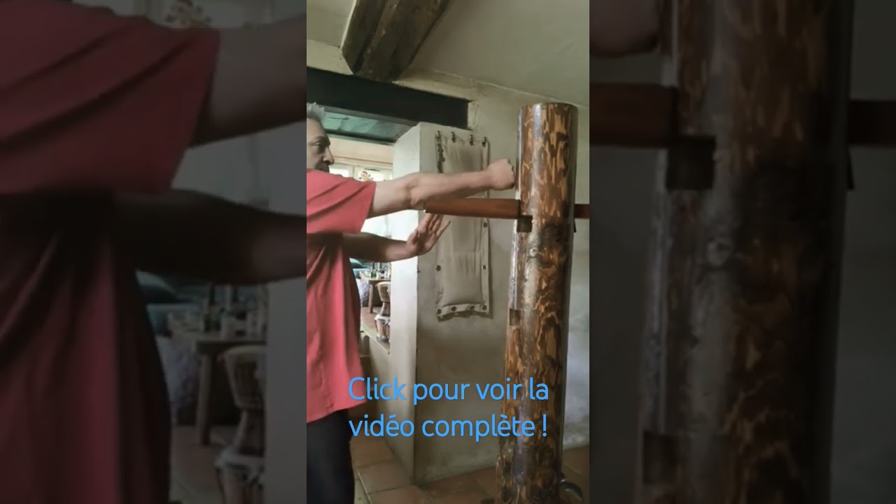 Man Sao, Tan Sao, Pak Sao, Kuen ! #martialarts #sifucarl #wingchun #mansao #tansao #paksao #wingtsun