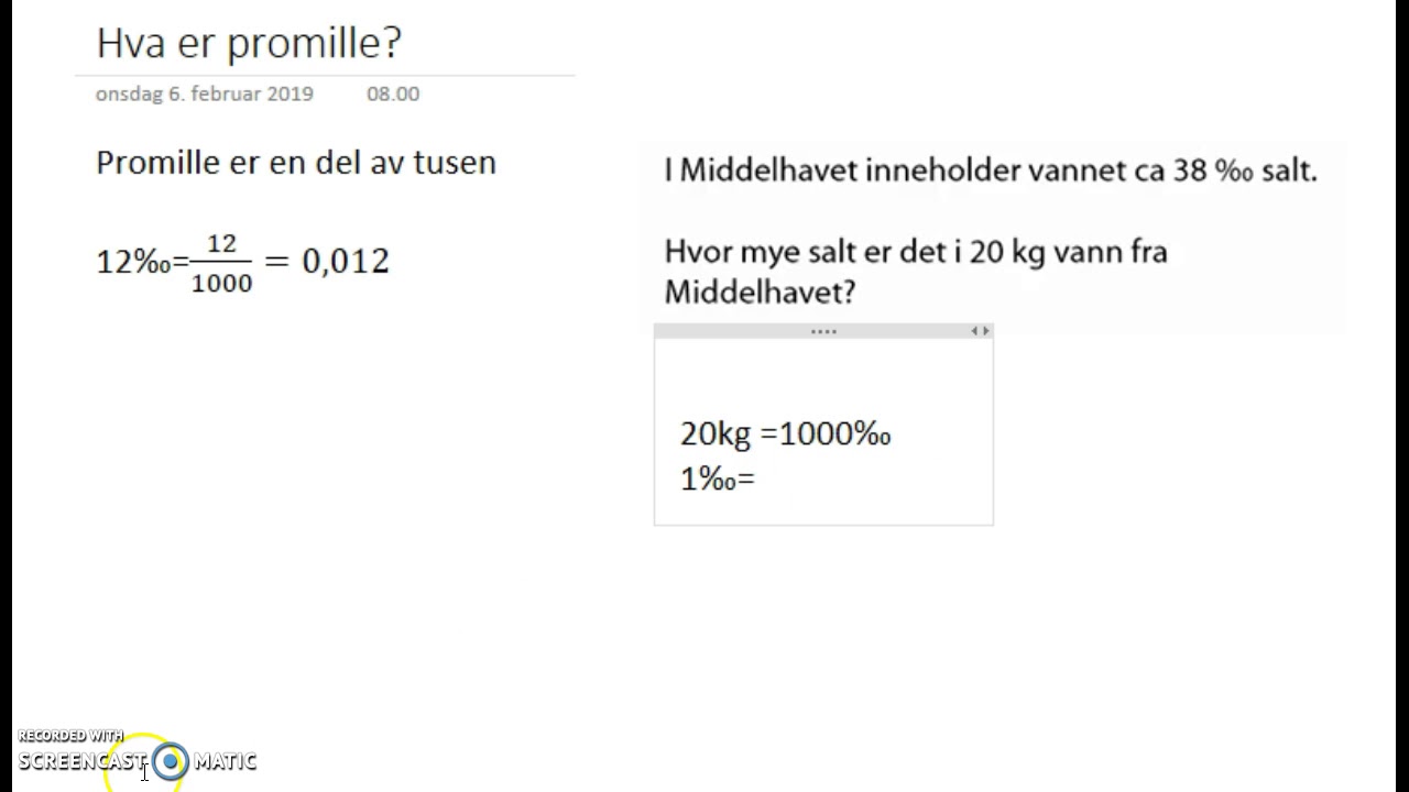 Hva er promille?