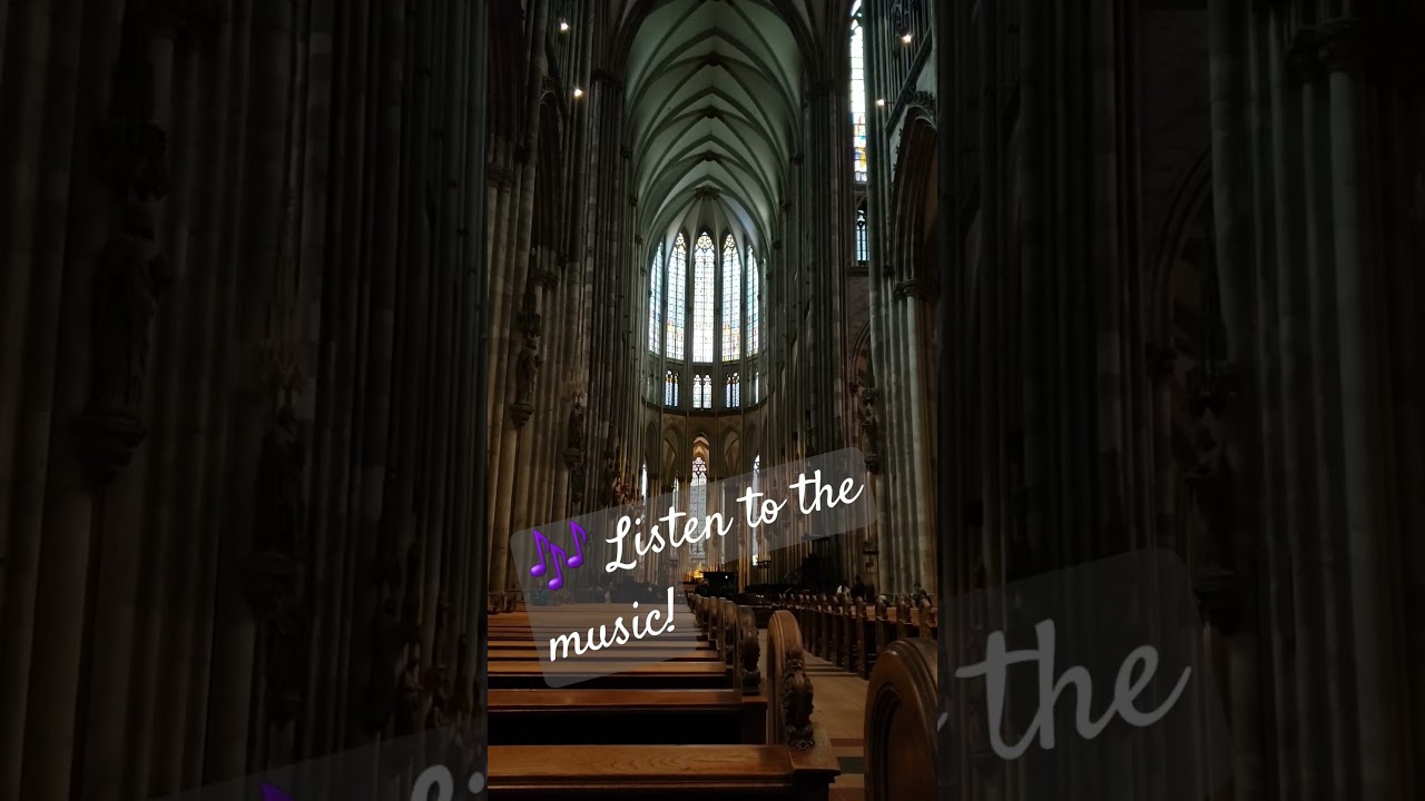 Organ at 