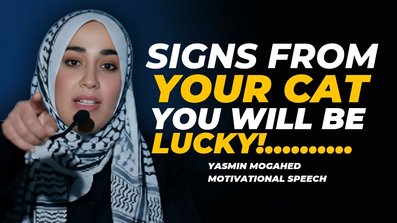 12 Cat Signs That Say You're About to Get Rich - Watch Closely! | ISLAM By Yasmin Mogahed