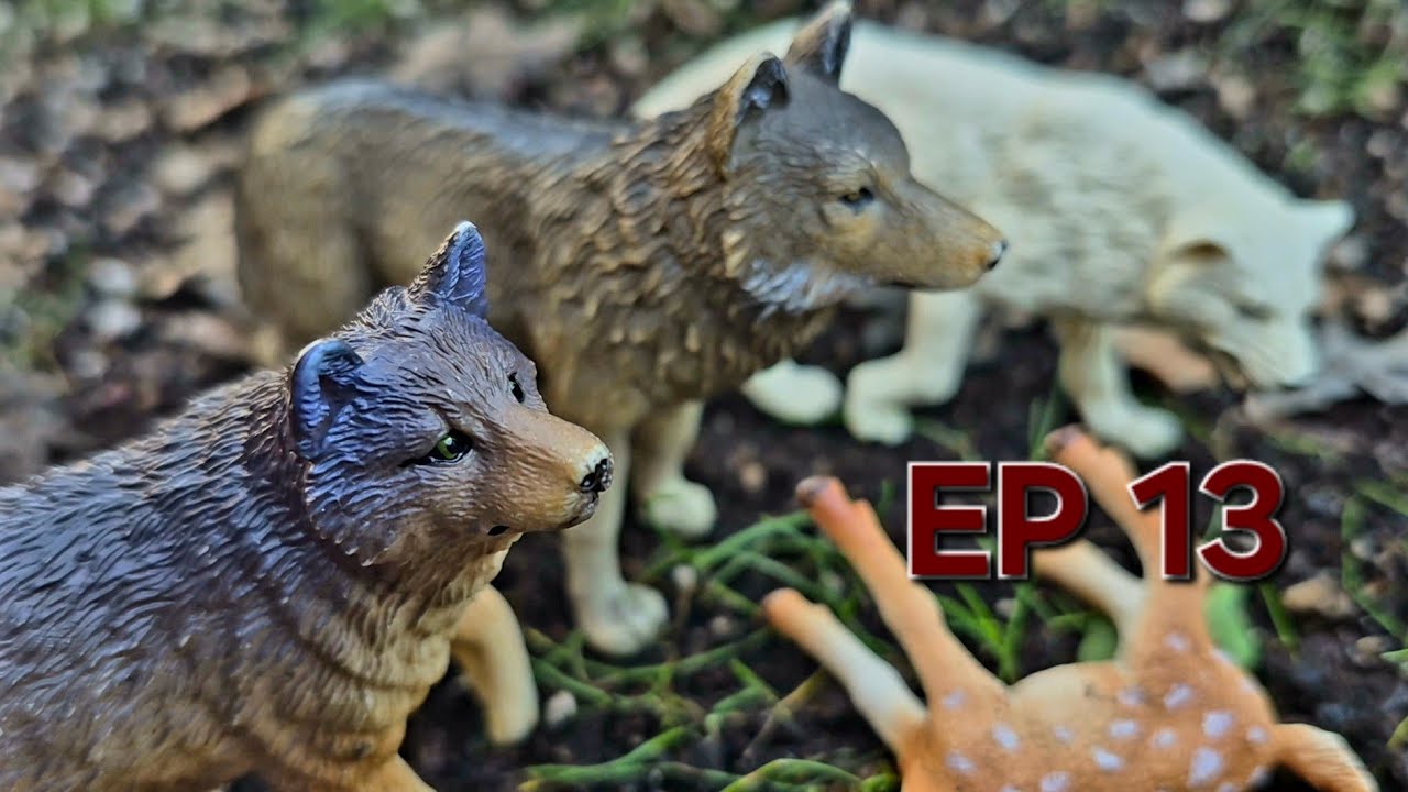 Brothers Lost In The Wild -EP13- Toy Wolf / Fox Series
