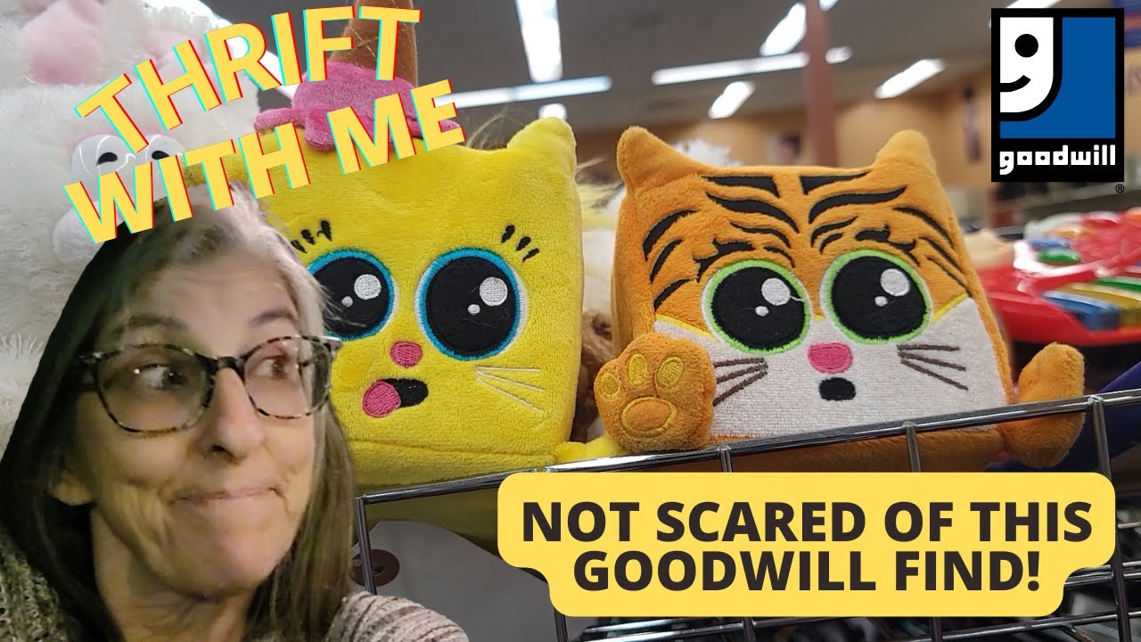 Not Scared of This Goodwill Find - Thrift With Me