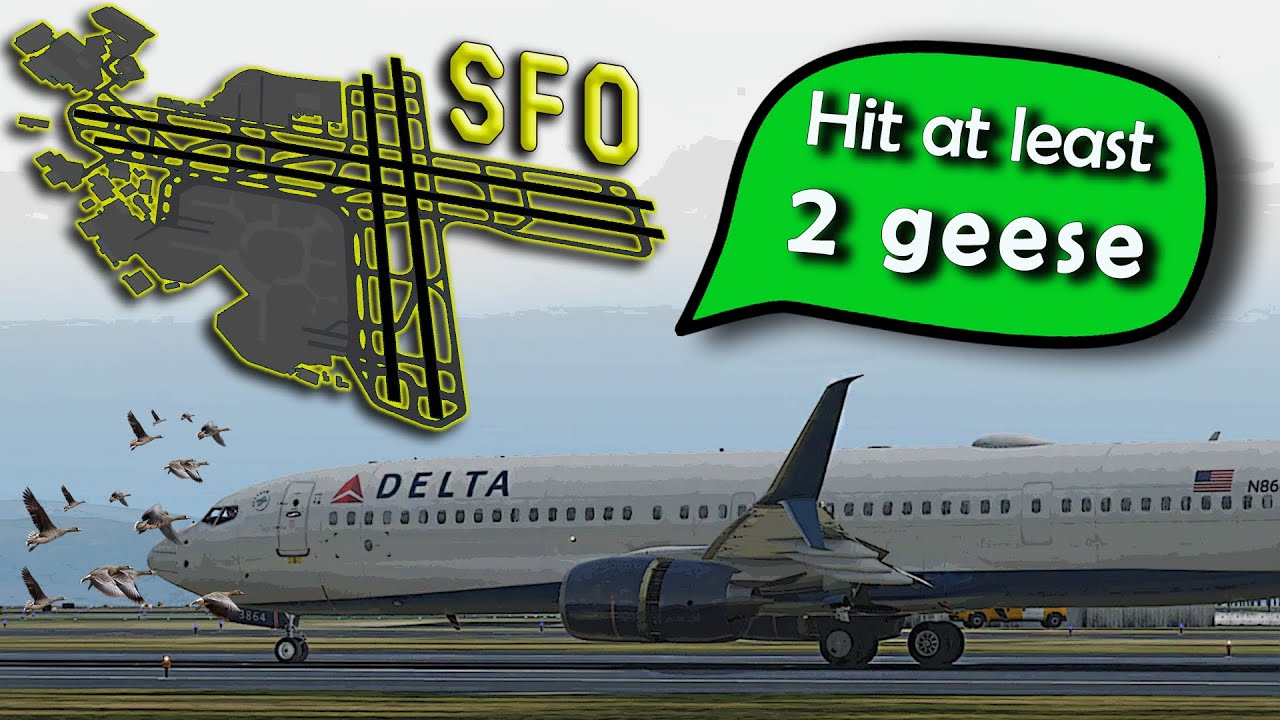 Delta B739 suffers BIRD STRIKE ON TAKEOFF at San Francisco!