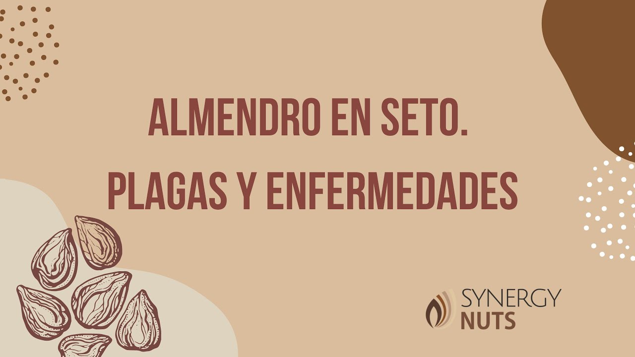 Video 6: Almendro en seto. Plagas y enfermedades.