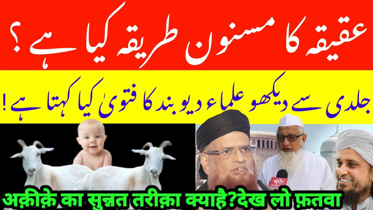 عقیقے كا طریقہ كیا ہے؟ | عقیقہ کا مسنون طریقہ