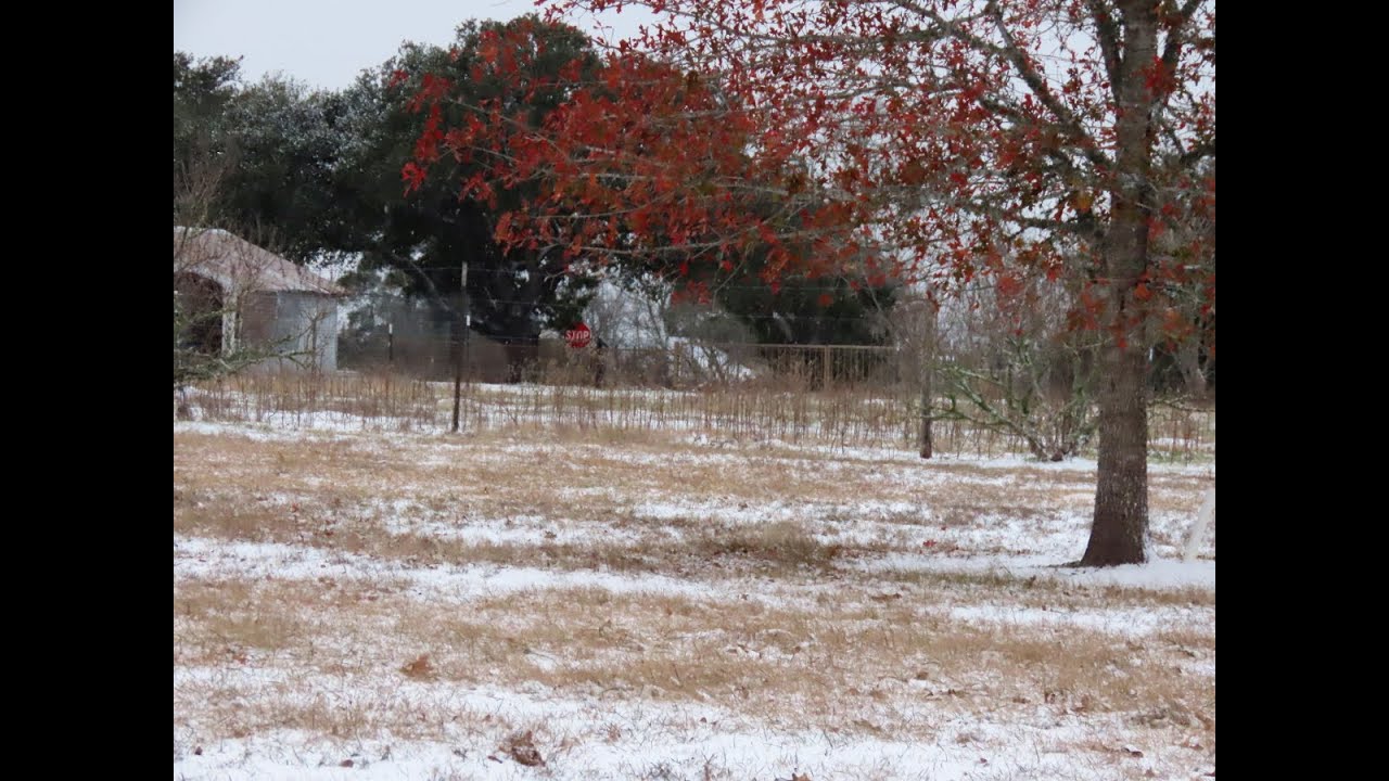 Slushy Snow 1-21-25 (pt 1)