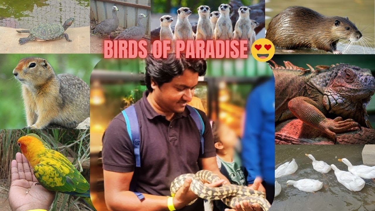 I Explored Bangalore's Best Exotic Animals Zoo!