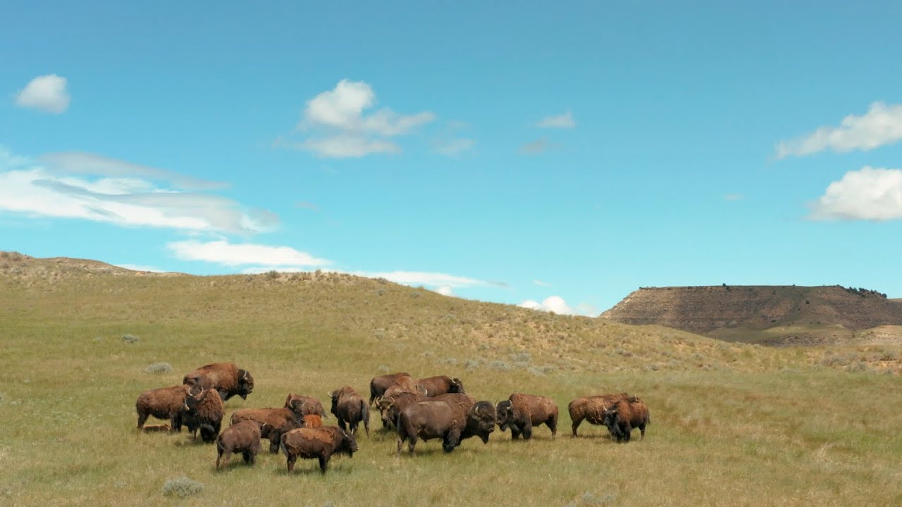 Sheridan, Wyoming