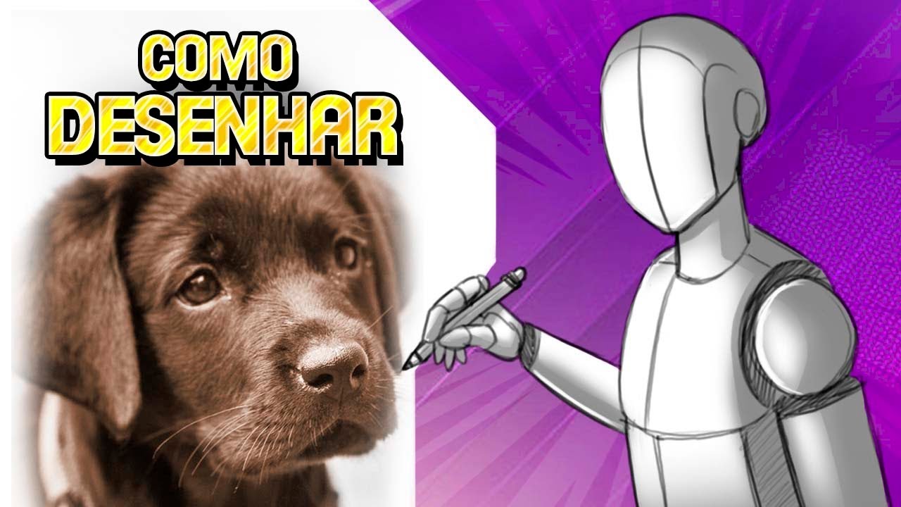 Como Desenhar Cachorro a partir de uma Foto