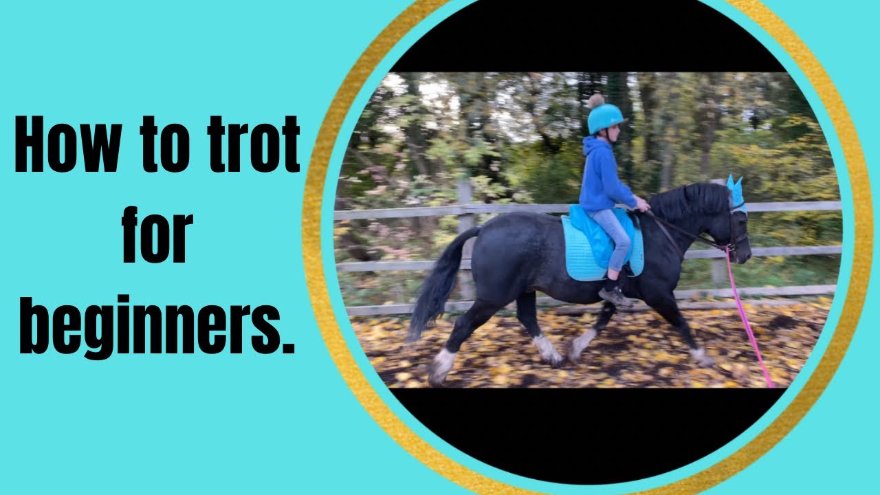 How to trot on a horse for beginners | rising trot