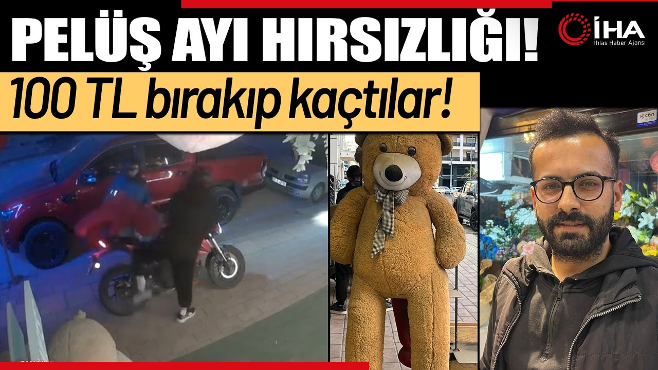 Kapıya 100 TL Bırakıp 5 Bin TL'lik Pelüş Ayıyı Çaldılar