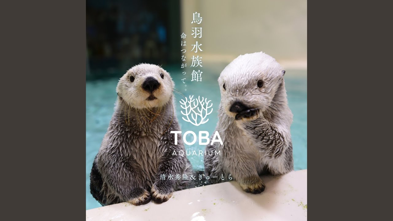 鳥羽水族館 -命はつながって-