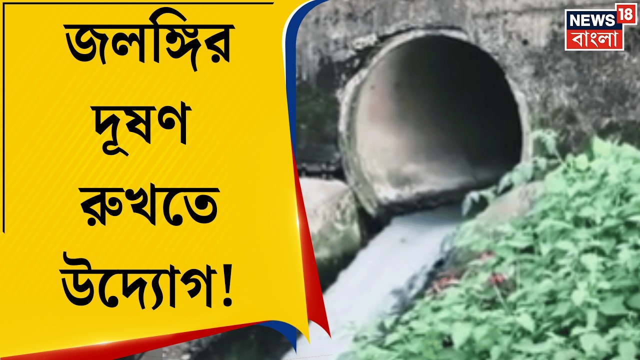 Nadia News | জলঙ্গির বুকে দূষণের বিষ রুখতে উদ্যোগী কৃষ্ণনগর পুরসভা! | Bangla News