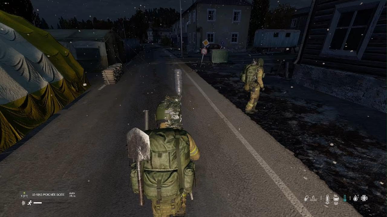 DayZ_petit Crash