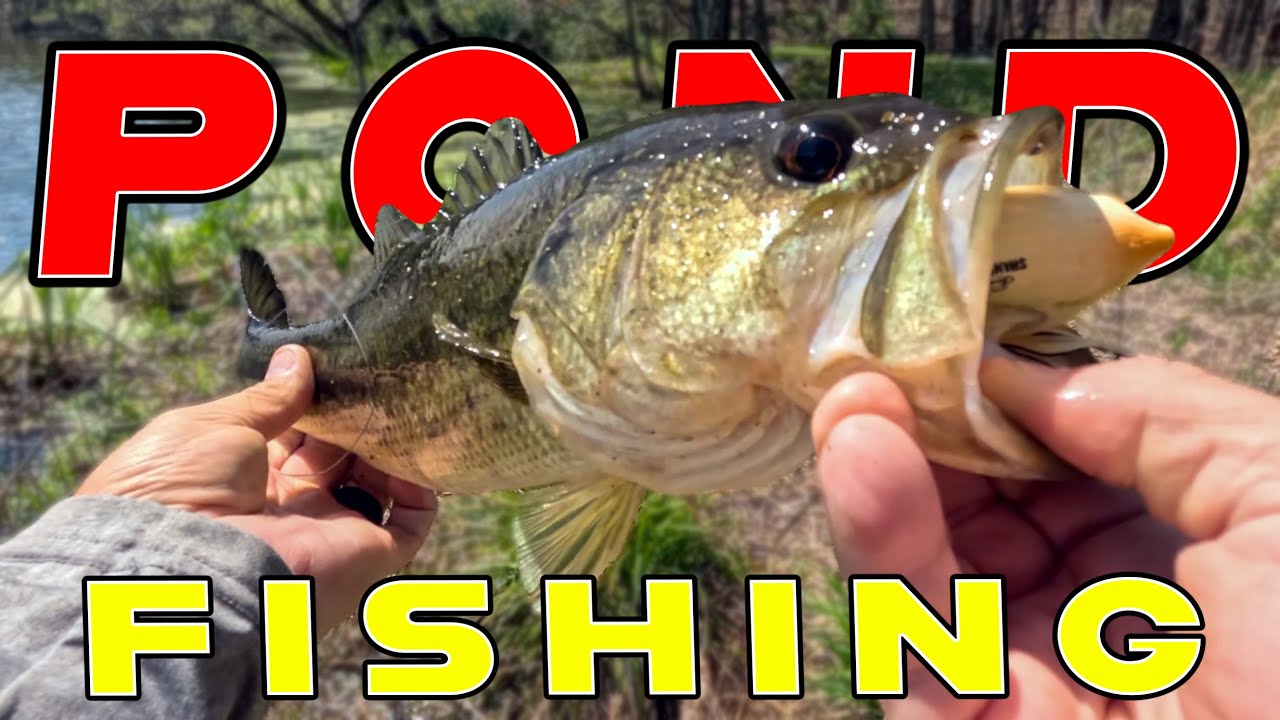 Best Baits For Shore Fishing! (Catching Fish In A New Pond)