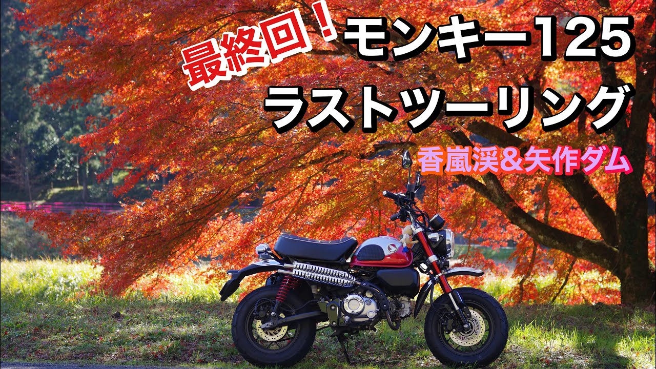 349.【最終回】モンキーラストツーリング【香嵐渓&矢作ダム】