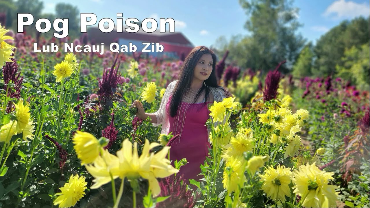Pog Poison Lub Ncauj Qab Zib~01/06/2024~