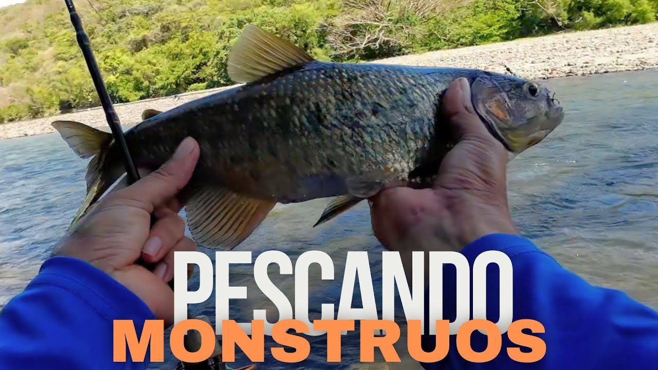 Pesca EPICA en RIO LEMPA
