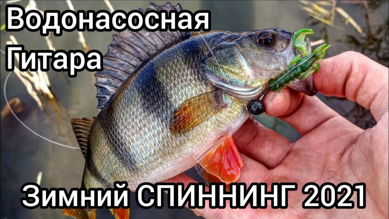 Зимний спининнг 2022. Рыбалка на Днестре Маяки/ Водонасосная/ Гитара.