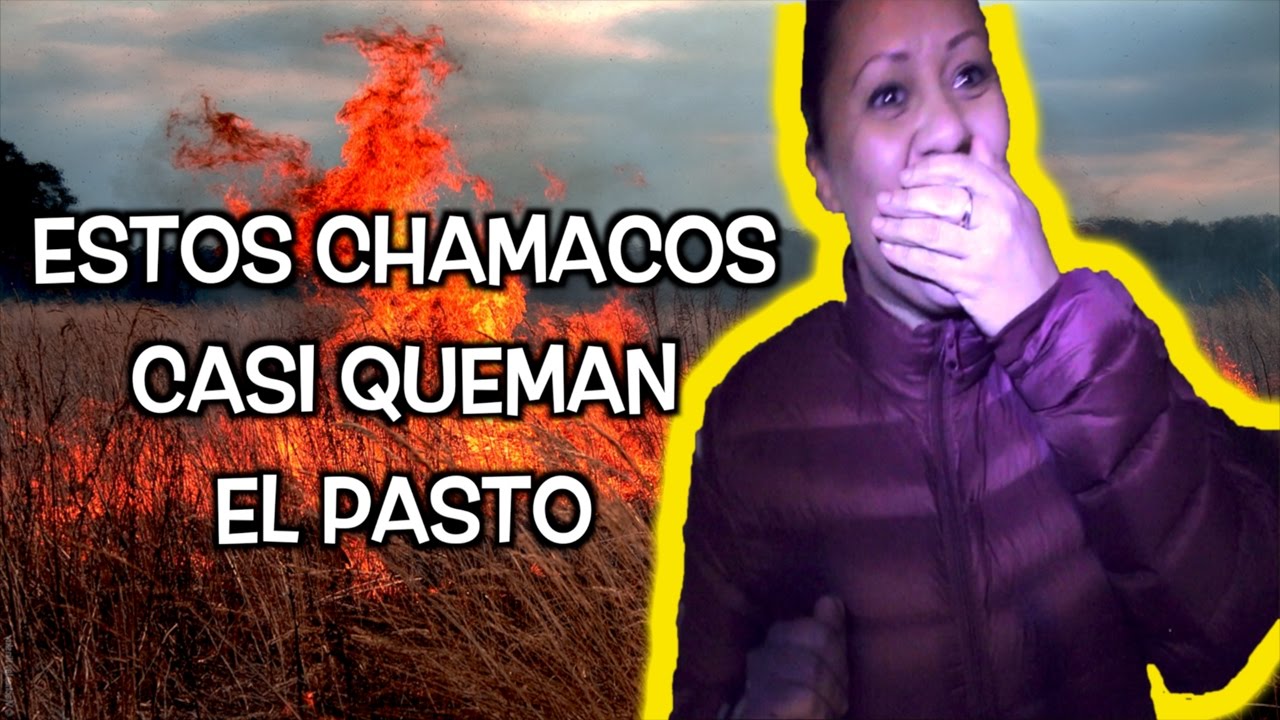 Casi quemamos el Pasto | Tronando Cohetes | Lapizito y Lapizin