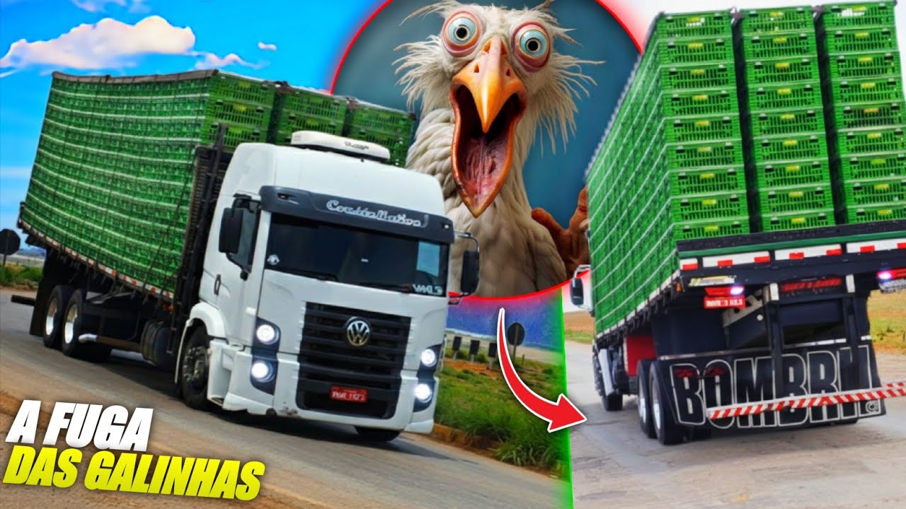 CALMA MOTORA! DESSE JEITO AS GALINHAS M0RREM ANTES DO ABATE🤣 |O FLOG QUE TODO MUNDO PASSOU NA PUXADA