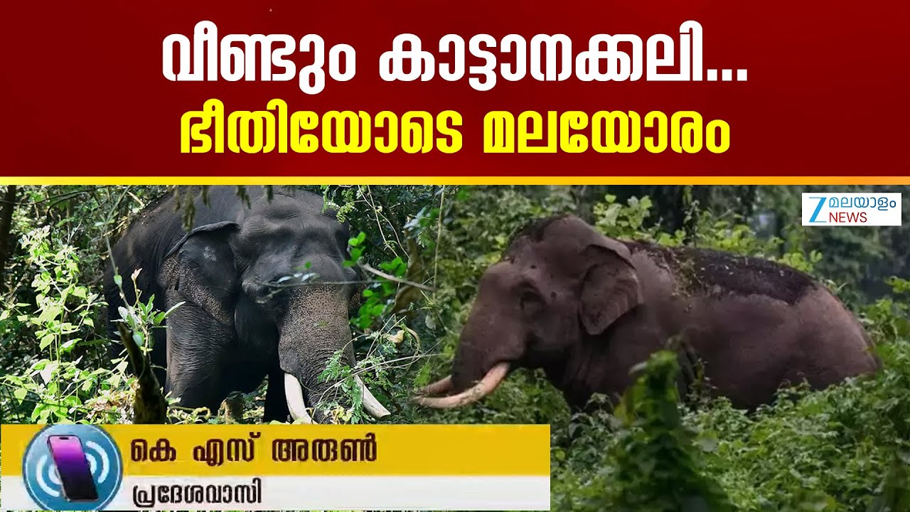 Idukki Wild Elephant Attack | ആനക്കലിയില്&zwj; ദിവസമെന്നോണം ജീവന്&zwj;പൊലിയുകയാണ് ഞങ്ങൾ ഇവിടെ ഭീതിയിലാണ്